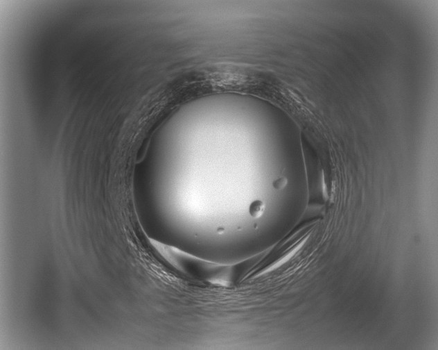 X0000062131345200512121205