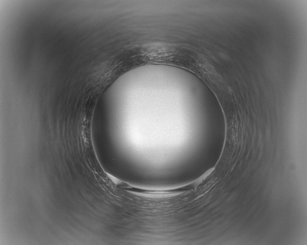 X0000062131346200512121205