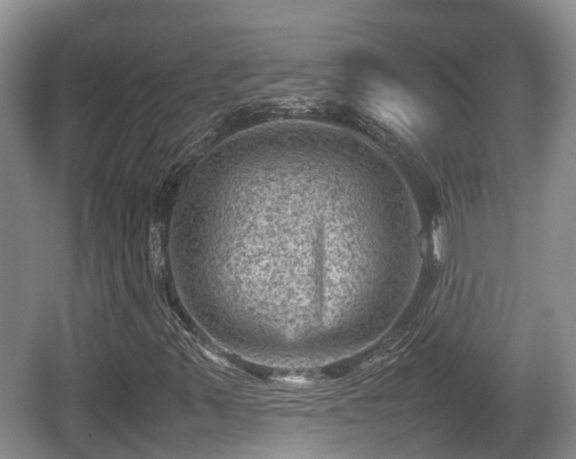 X0000062131347200512121205