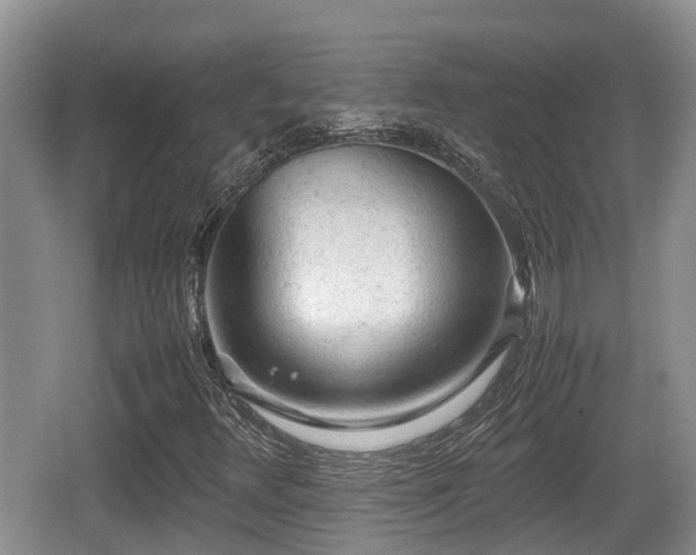 X0000062131348200512121205