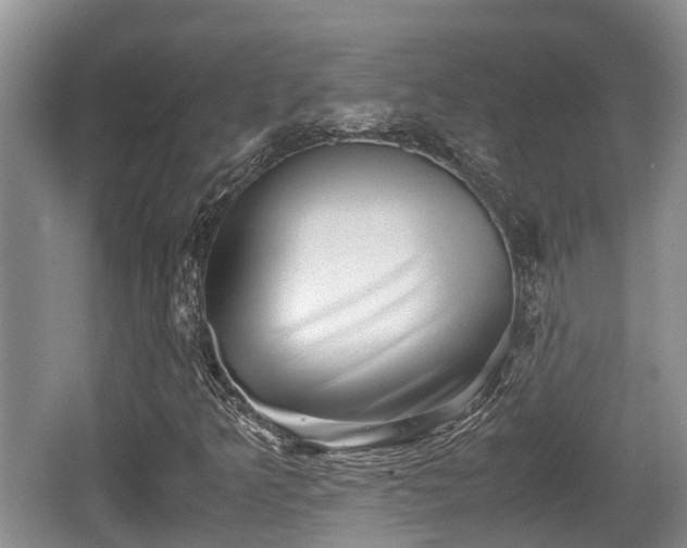 X0000062131349200512121205