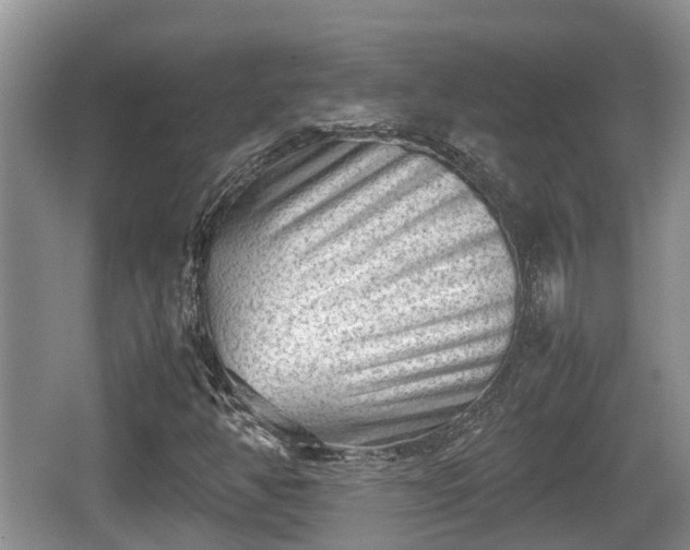 X0000062131350200512121205