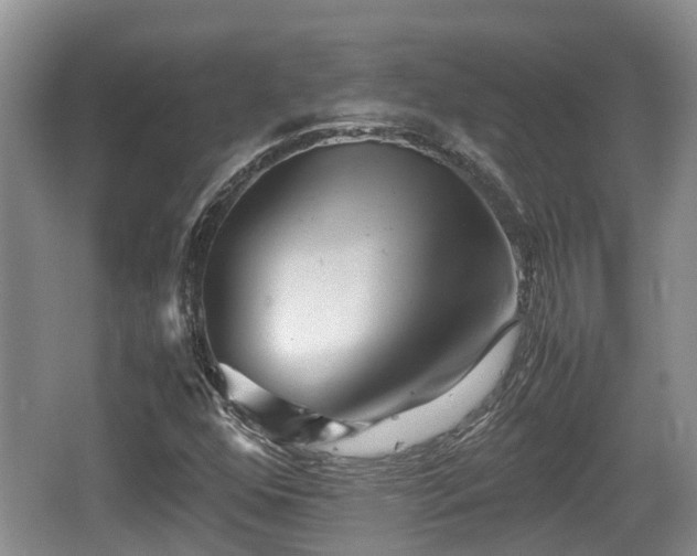 X0000062131352200512121205