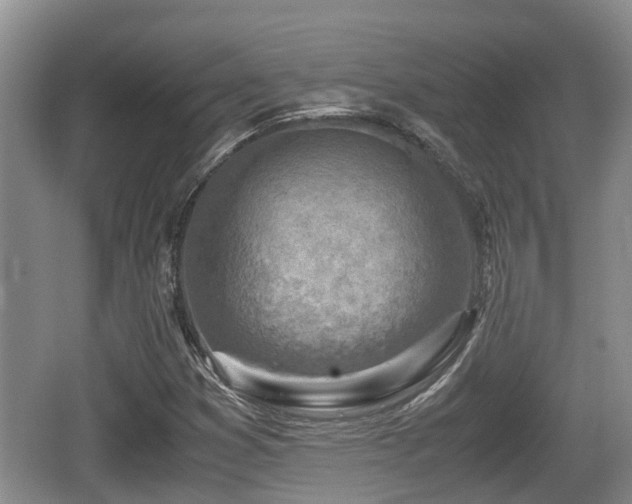 X0000062131353200512121205