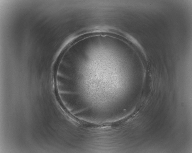 X0000062131368200512121204