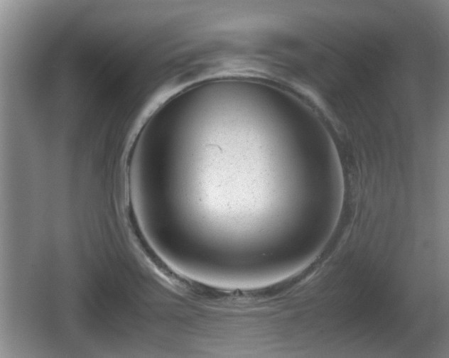 X0000062131371200512121204