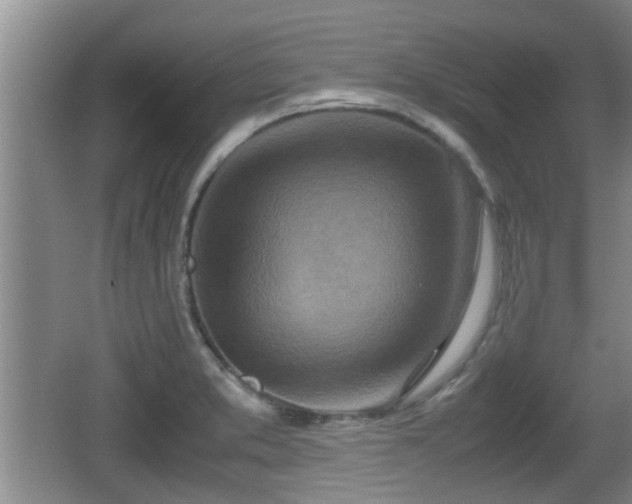 X0000062131373200512121204