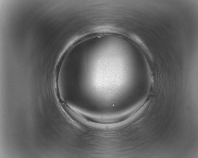 X0000062131376200512121204