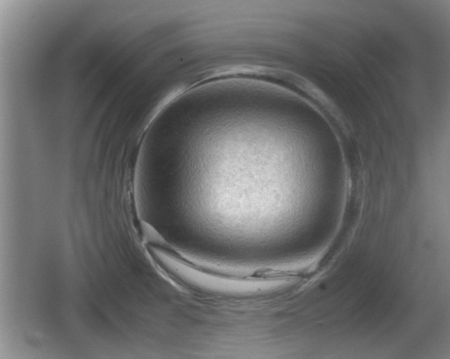X0000062131377200512121204