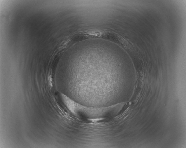 X0000062131394200512121203