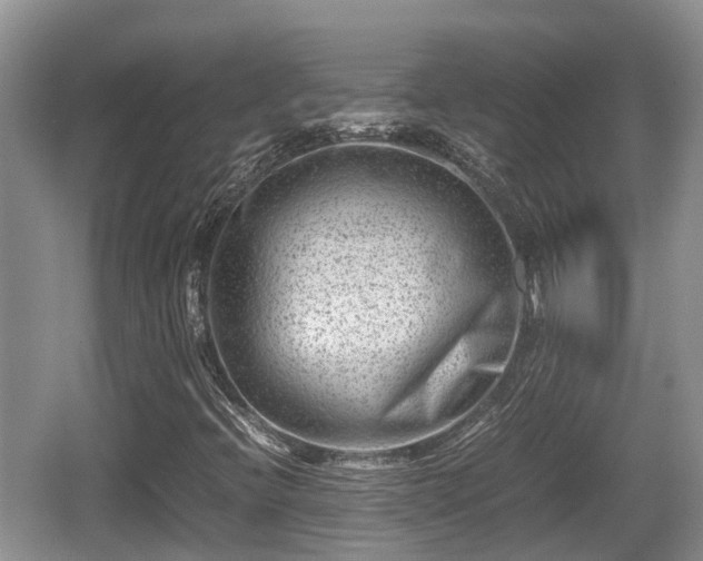 X0000062131396200512121203