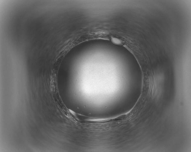 X0000062131397200512121203