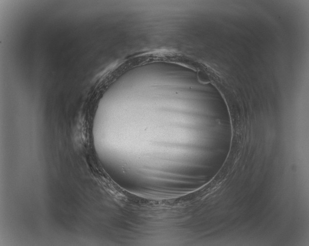 X0000062131398200512121203