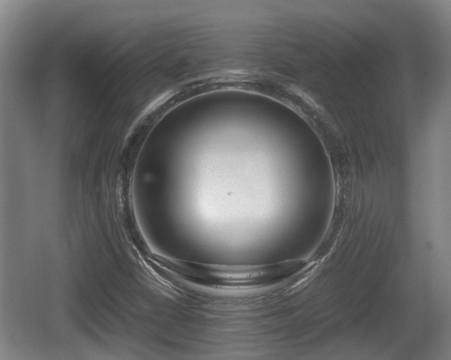 X0000062131402200512121203
