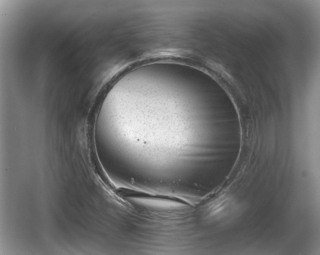 X0000062131404200512121203