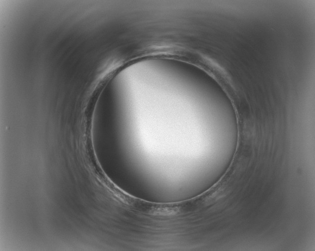 X0000062131411200512121203