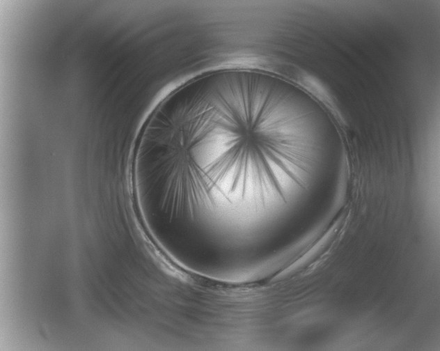X0000062131436200512121204