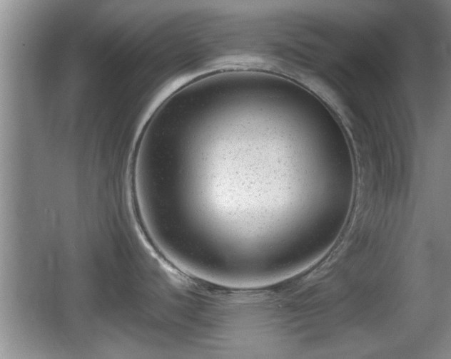 X0000062131440200512121204