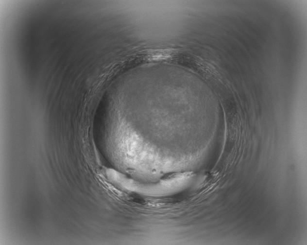 X0000062131441200512121203
