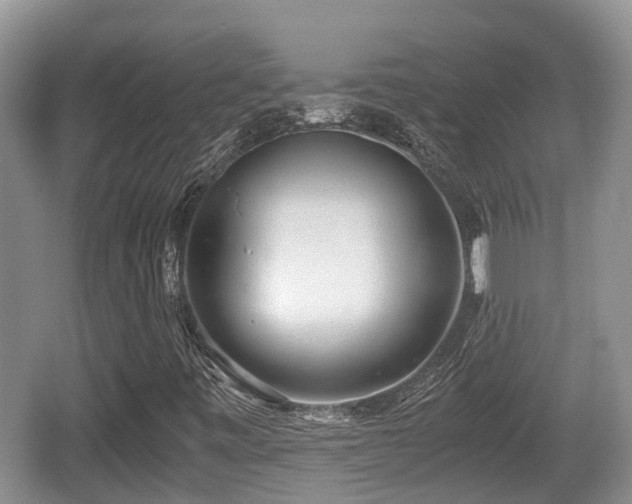 X0000062131443200512121203