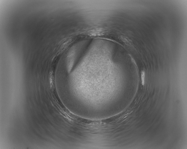 X0000062131444200512121203