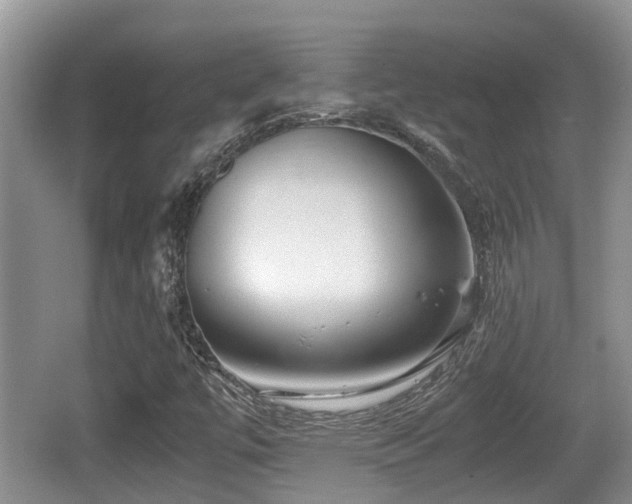 X0000062131447200512121203