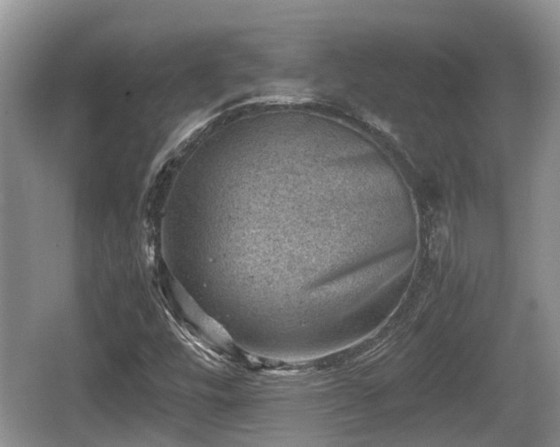 X0000062131448200512121203