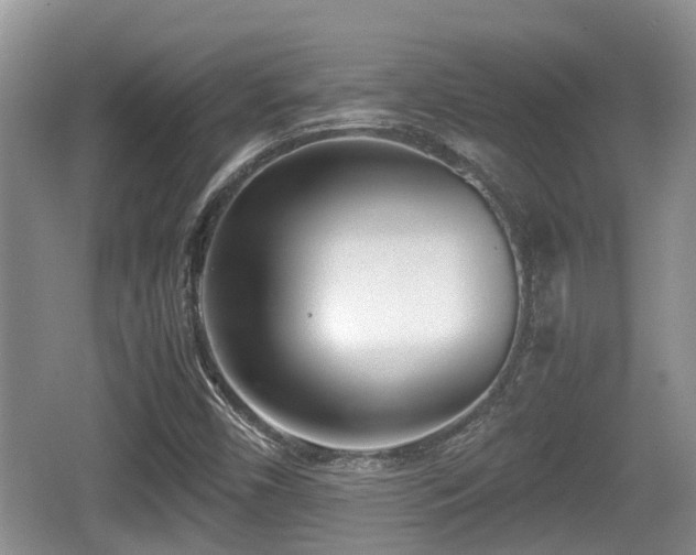 X0000062131450200512121203