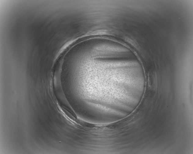 X0000062131452200512121203
