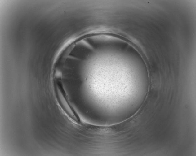 X0000062131464200512121203
