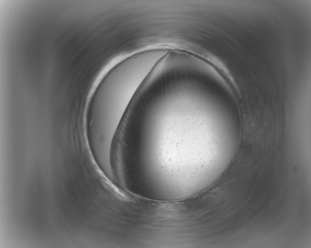 X0000062131480200512121202