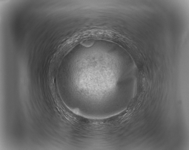 X0000062131489200512121201