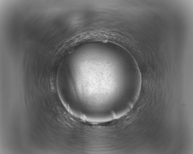 X0000062131490200512121201