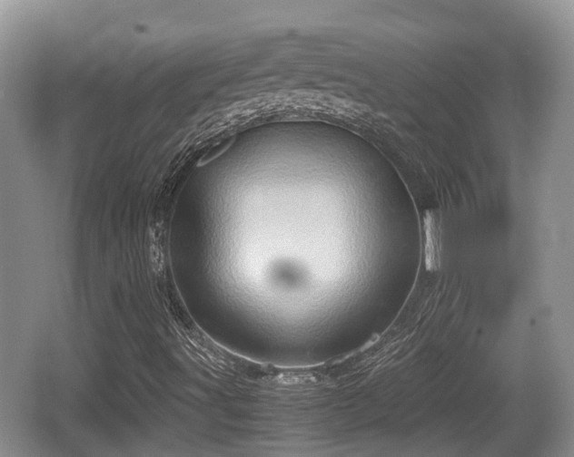 X0000062131491200512121201