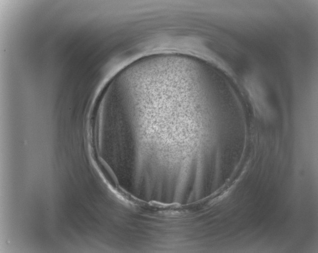 X0000062131517200512121202