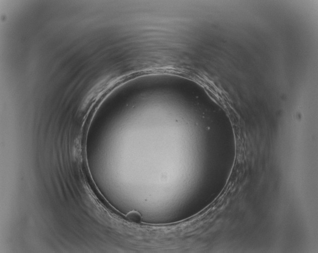 X0000062130002200512161204