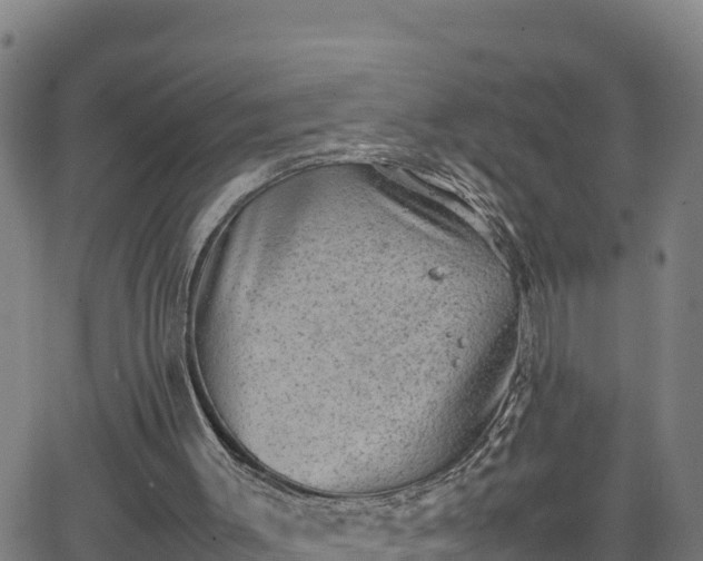 X0000062130003200512161204