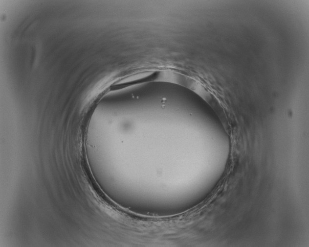 X0000062130005200512161204