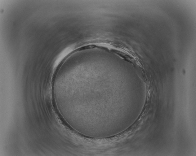 X0000062130006200512161204