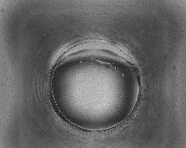 X0000062130007200512161204