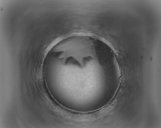 X0000062130008200512161204