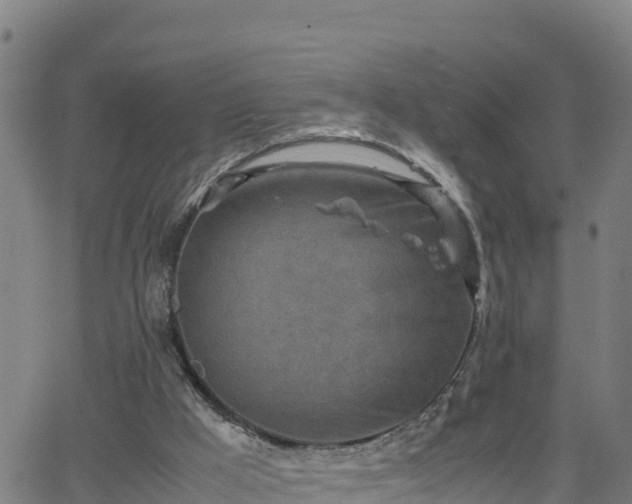 X0000062130009200512161204