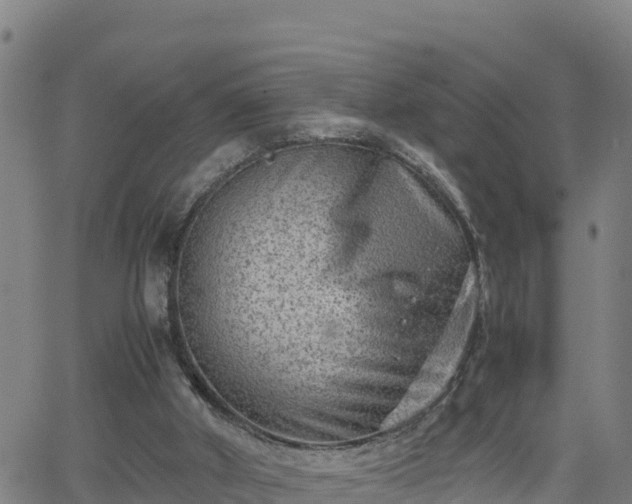 X0000062130010200512161204