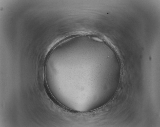 X0000062130011200512161204