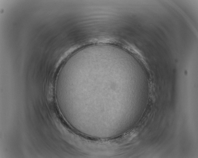 X0000062130012200512161204