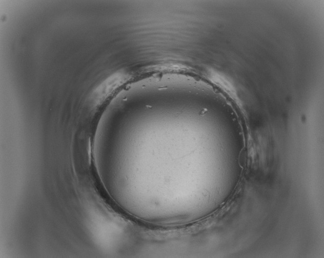 X0000062130013200512161204