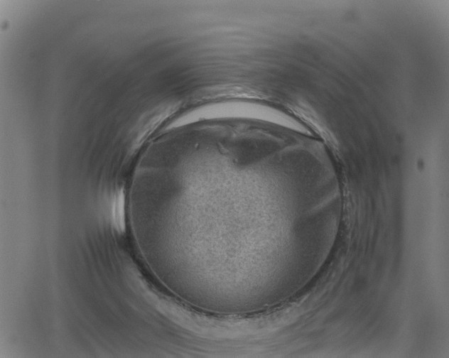 X0000062130014200512161204