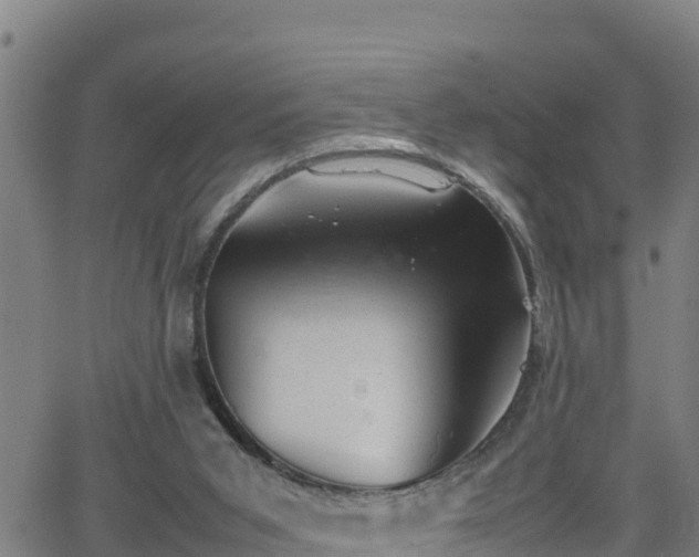 X0000062130015200512161204