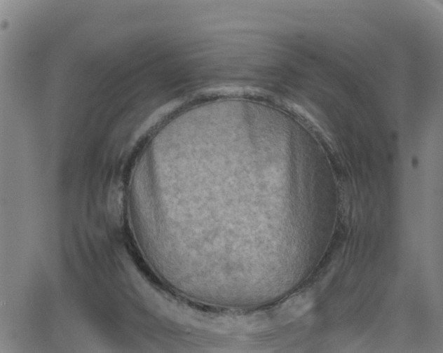 X0000062130016200512161204