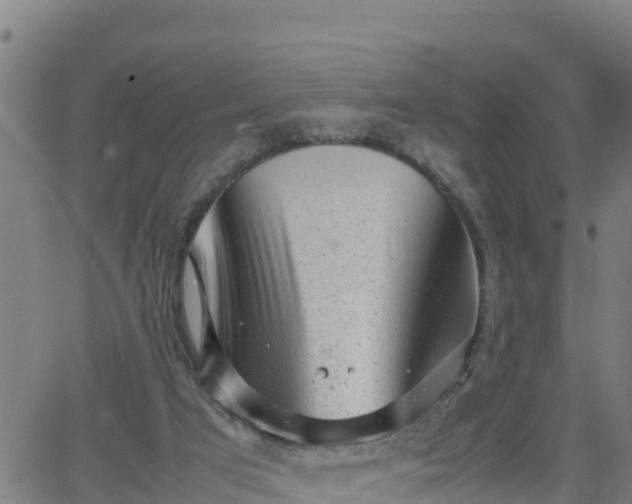 X0000062130017200512161204